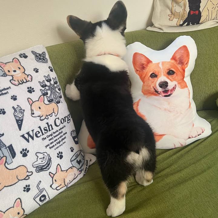 43254666 88b1 4e78 b4b8 4c93728dad24 1769992941923