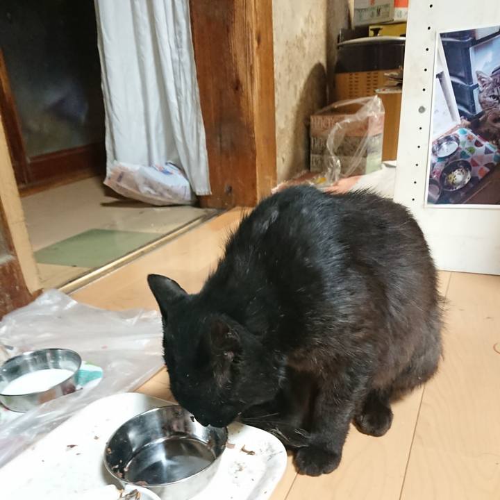 432558d1 6f4f 4068 86c7 45e7e20f5ff0 1624879743804