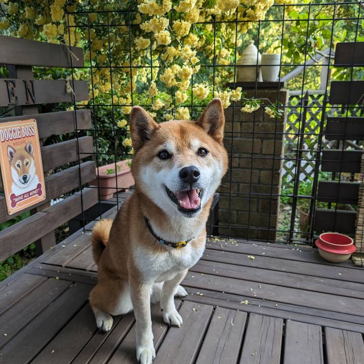 43256585 b3cb 41d4 aaf9 3e396115319d 1714033851661