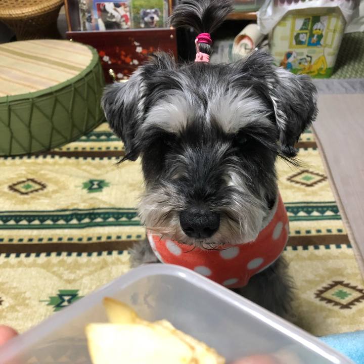 43259afa f25b 482e ab86 9354d8726791 1644670074500