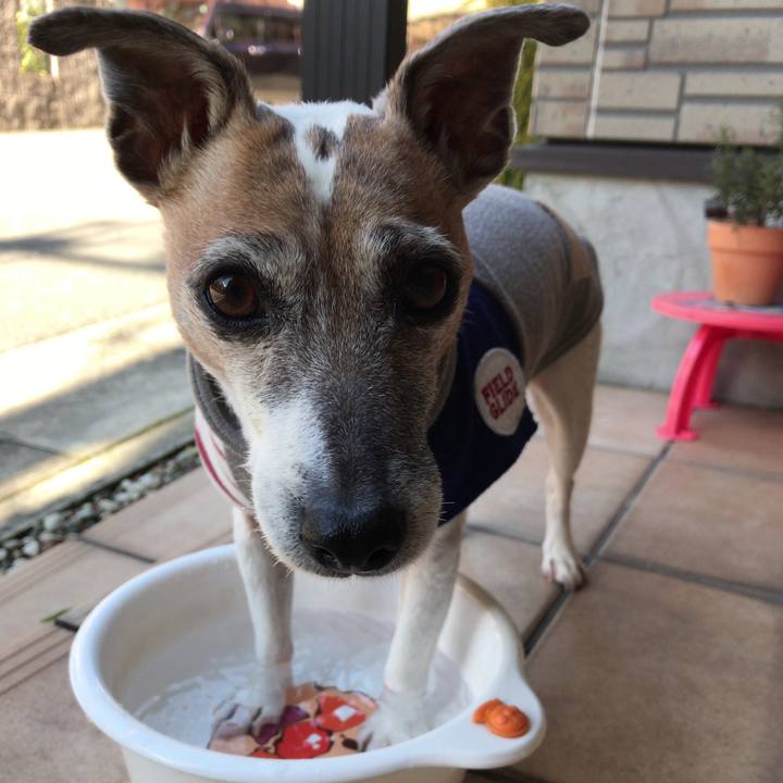 4325bd6f 550f 49e8 aa70 f0b8952d2e5d 1517971197752