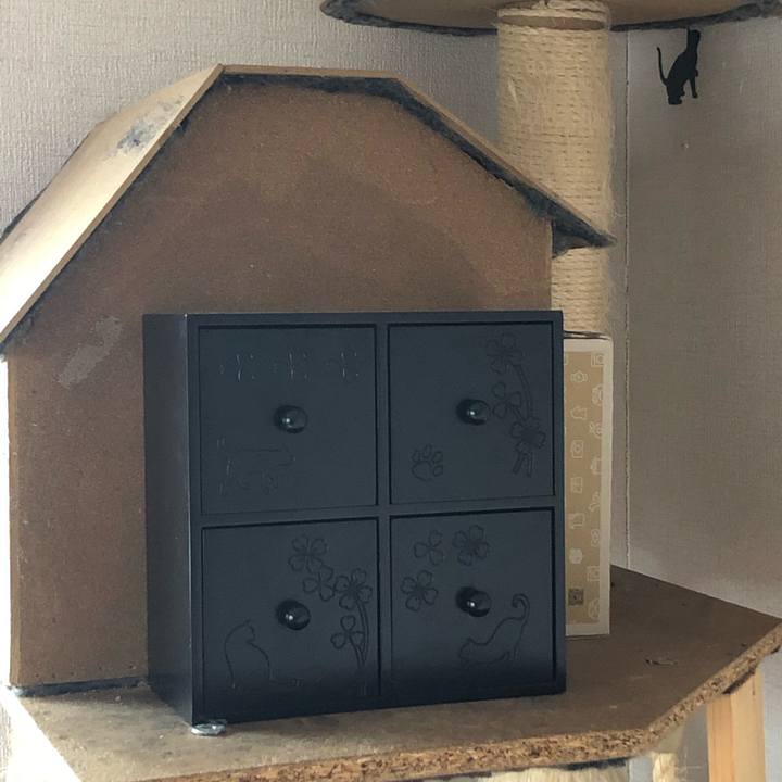 4325c573 5221 4c08 92b9 91046da8c608 1618714650198