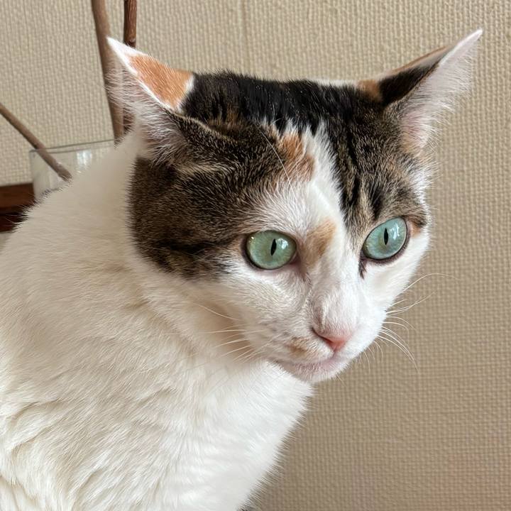 43261347 81e4 4cb9 af33 9c0515ca95b4 1726705797589