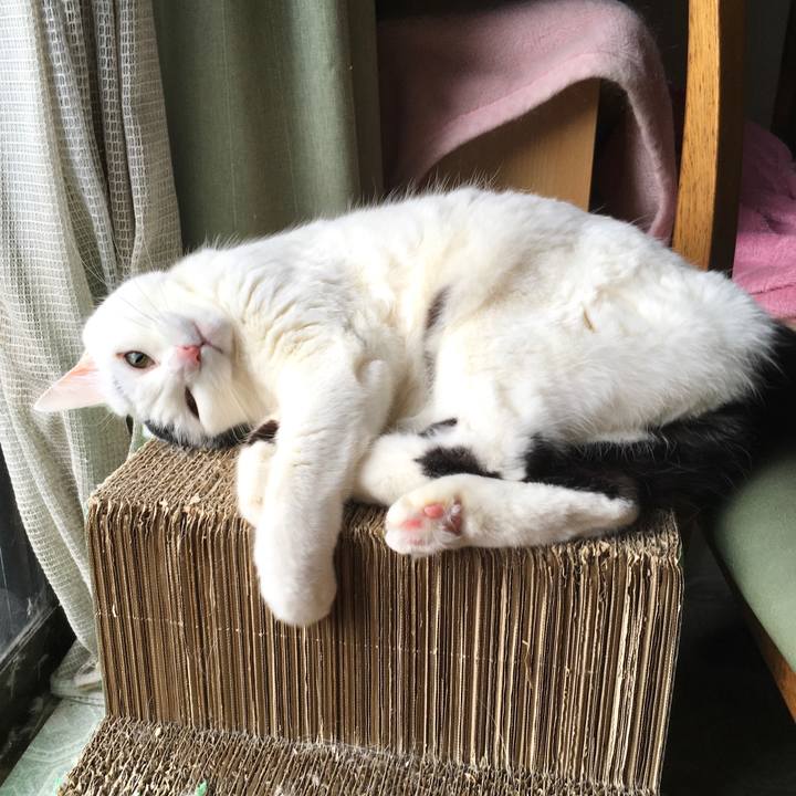 43263904 4cee 4fdf afc0 bb11fe3f5765 1615159421812