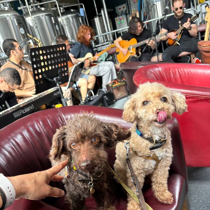 432662af 911a 43be a9f0 77f443d7b84f 1754856389917