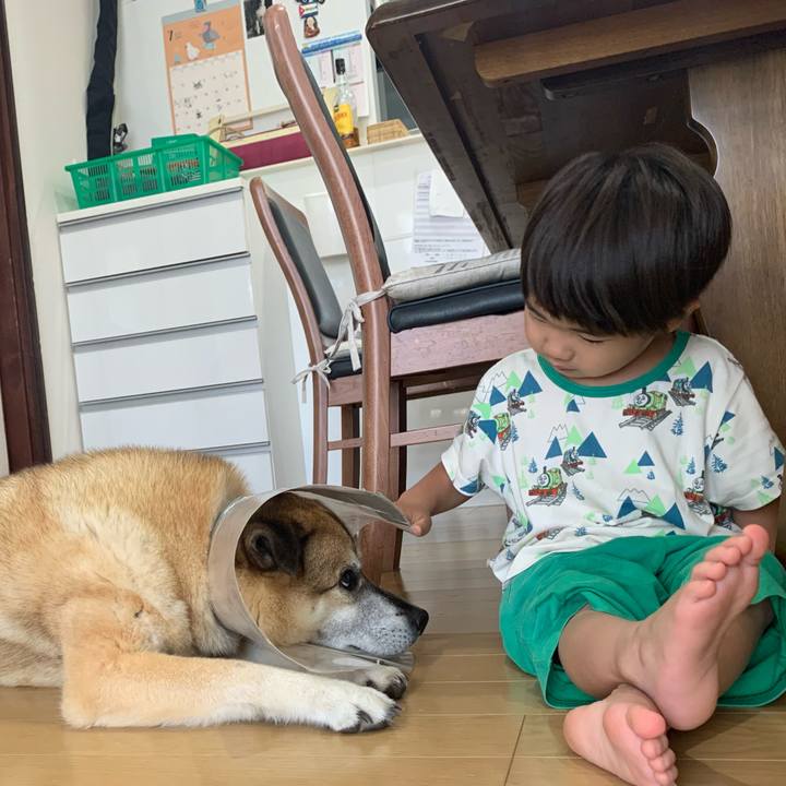 43267191 5fbc 451f 824c 92564246961e 1627097798464