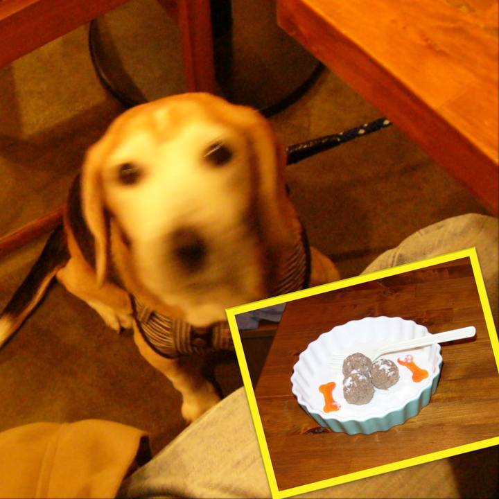 4326a83f 2b1f 4fa5 9235 1c3a8e73bf70 1661214709520