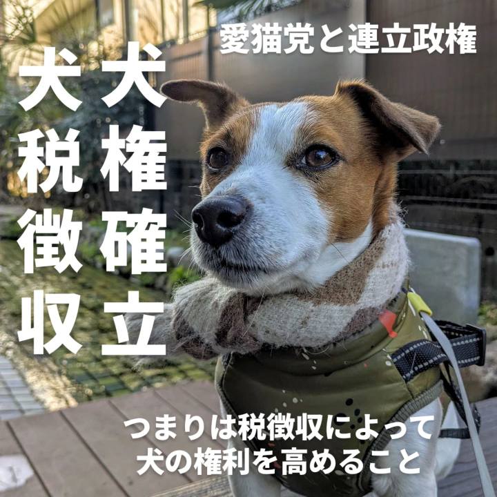 4326bca5 db28 4aae b1e5 8924f7eb6753 1770706025284