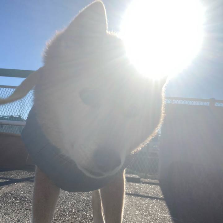 4326f37c 24b9 4052 a0dc cdde5d63235a 1769055583822