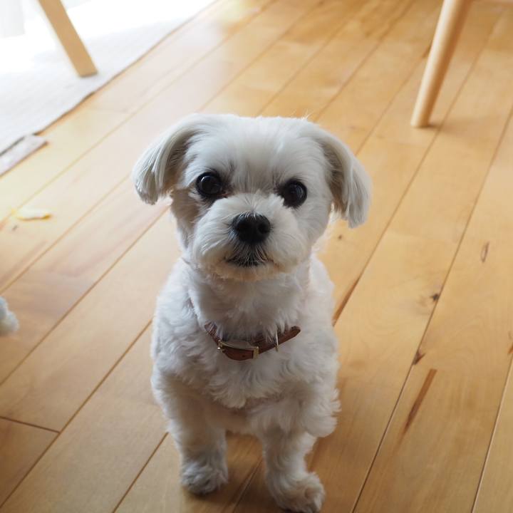 4326fcaf 34a7 44a4 9d0e 879d36e58156 1588444706701