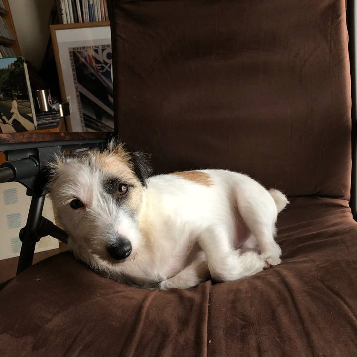 4327088f 2c13 466a bf15 55bceb416182 1536540934314