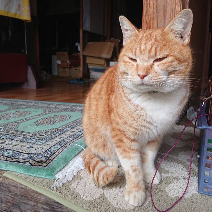 43271c85 5173 4225 bf9d f452743f816b 1580531003204