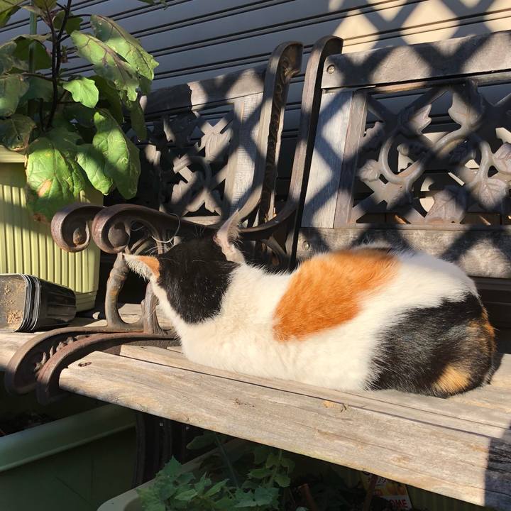 432749ad 58f0 46c2 9923 02ec8fe9ae5d 1603582206935