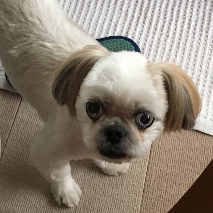 432749d3 5390 4716 ac81 677136c0d06f 1537749705110