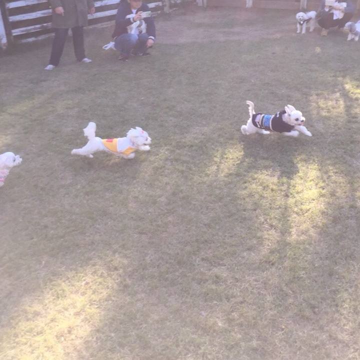 43274f1f e533 4057 bcc0 2c1cbbbbcfed 1535535950728