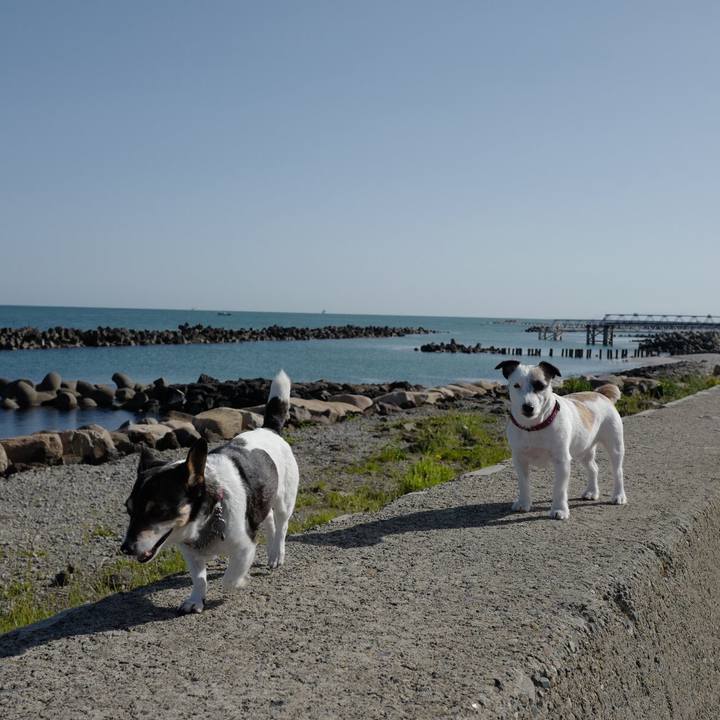 43275953 4270 4919 a881 90de5a2c4097 1559189170169