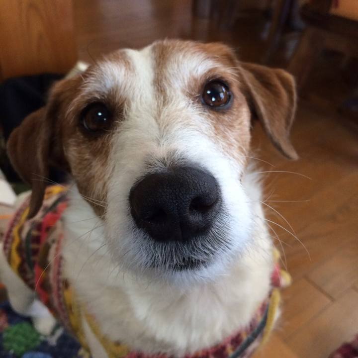 43275a48 61db 49ef 8057 914a6354f569 1543321325511