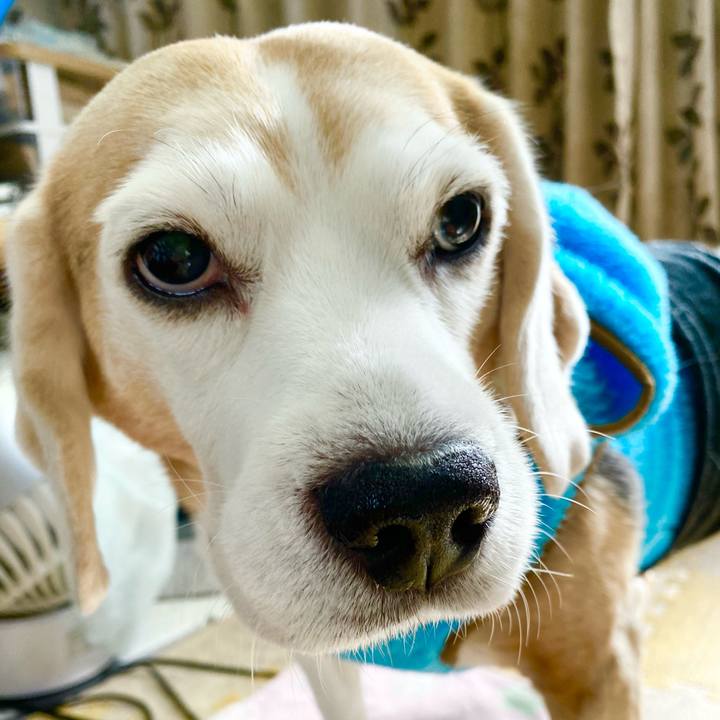 43275a92 d03b 46b2 a9bf e727731ea9a9 1609129214320