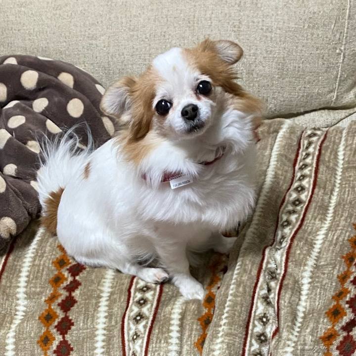 43275adf ca3b 4798 8bb9 28514e498f6f 1580394725357