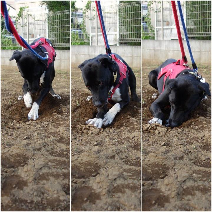 43275e73 213f 4672 90e0 37bf99adf5ec 1592390136858