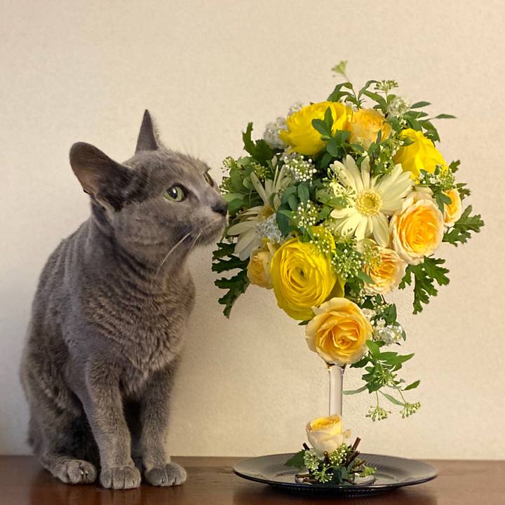 43279ebf b6f1 43d4 b231 0e5a627f3115 1581045874182