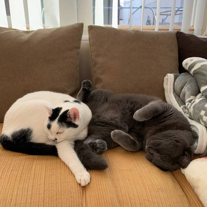 4327a154 ed87 47f8 a257 e96e3fc2fdbd 1575079958176