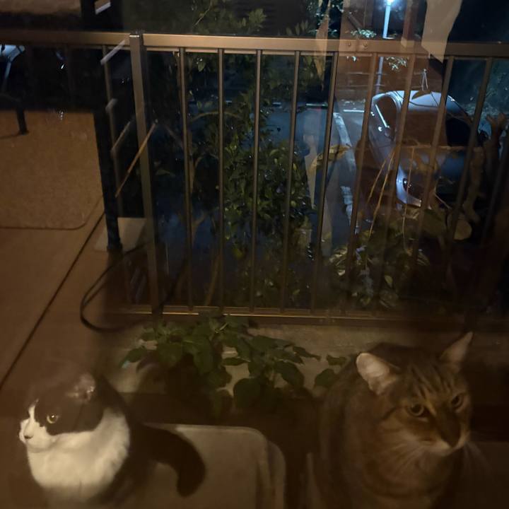 4327d5be 6756 47db b435 99125a8237f6 1762772208937