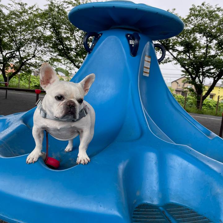 4327f155 784b 46ed 8d19 47cd3ffe5b57 1749597274025