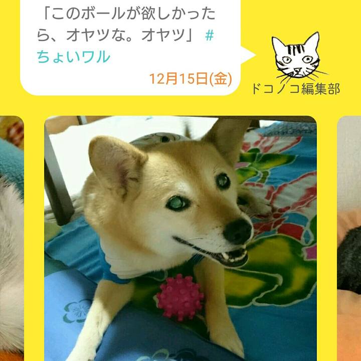 43280d8c d569 4687 bcb2 66803edd8e97 1513343911668