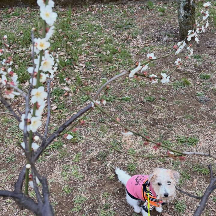 43280dd6 2db8 48fa 95ba bd0f725057f5 1772964745216