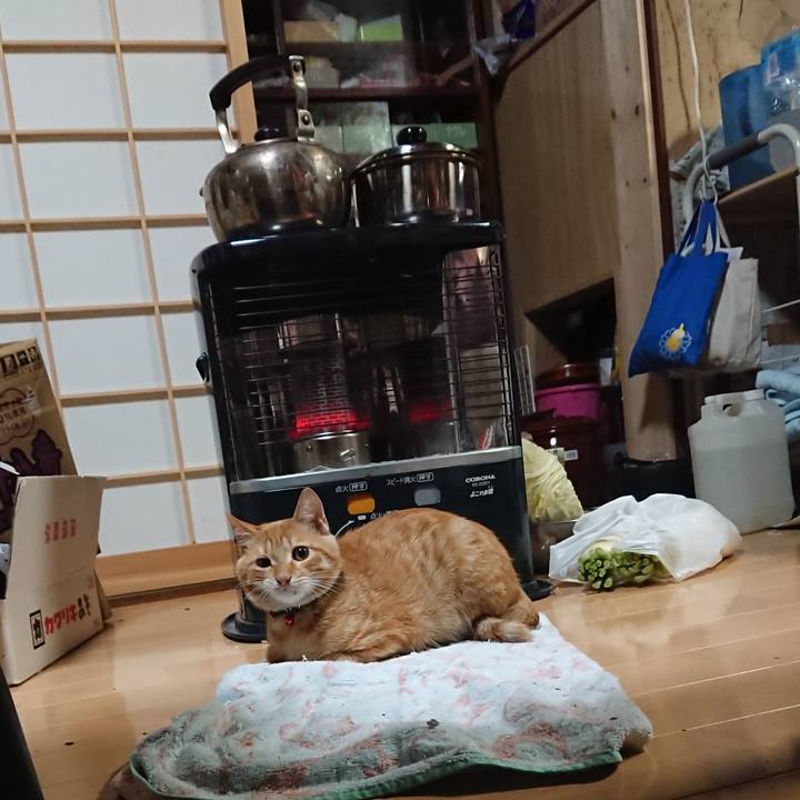 43284812 450d 45ab a961 8399e20d11b1 1634936662938