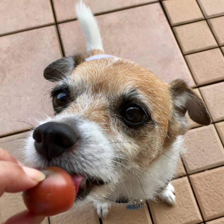 43289200 39da 4bb1 ba7f dc29deb99535 1595224806247