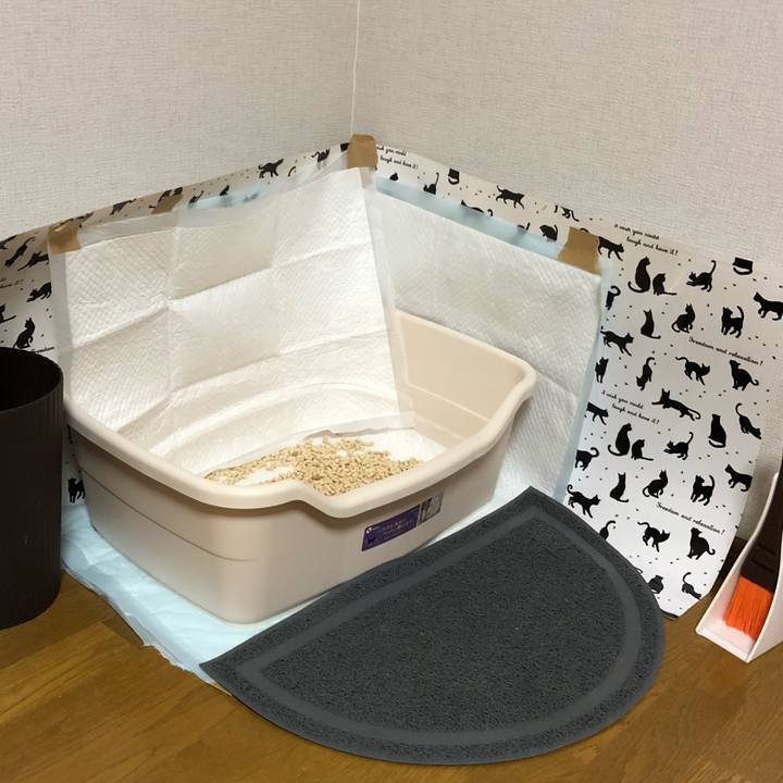 4328c2dc 347c 442f 8523 b041fb68f708 1571307035949