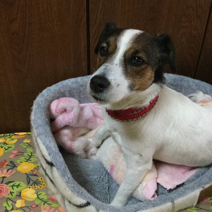 4328ef7a 518a 40df 9fcd a18f7773792a 1556420595032