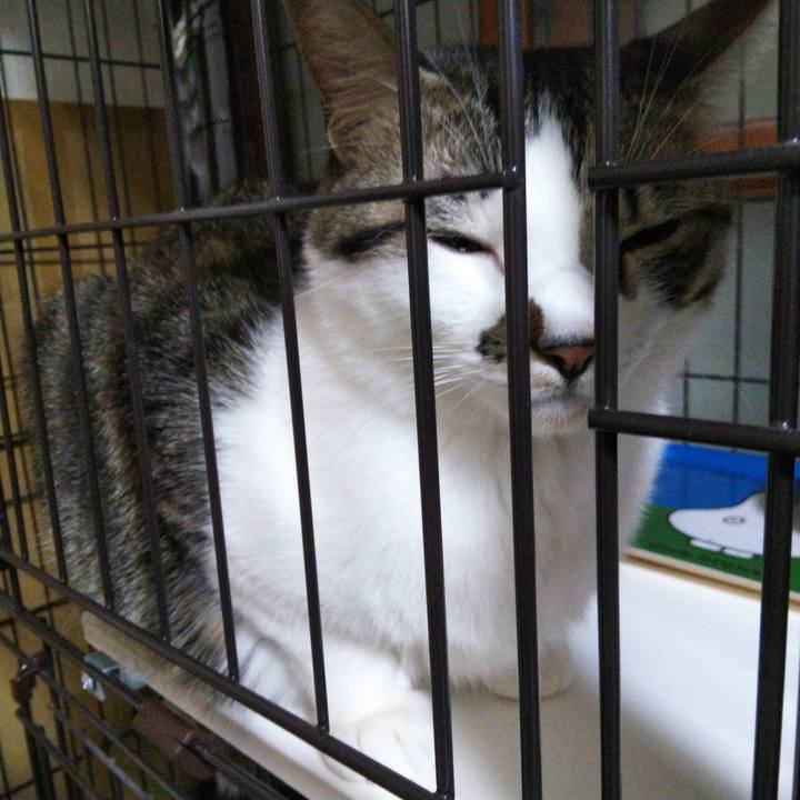 43293508 2ce4 4532 b4ed 40101a8cf7ed 1641504586843