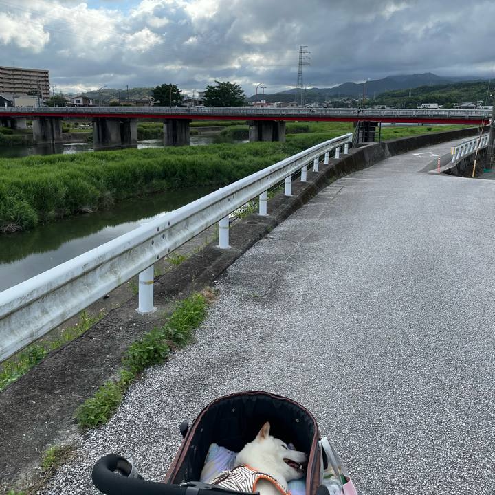 43294738 4a6e 4dbf ba39 5cb93f2967e9 1656404841100