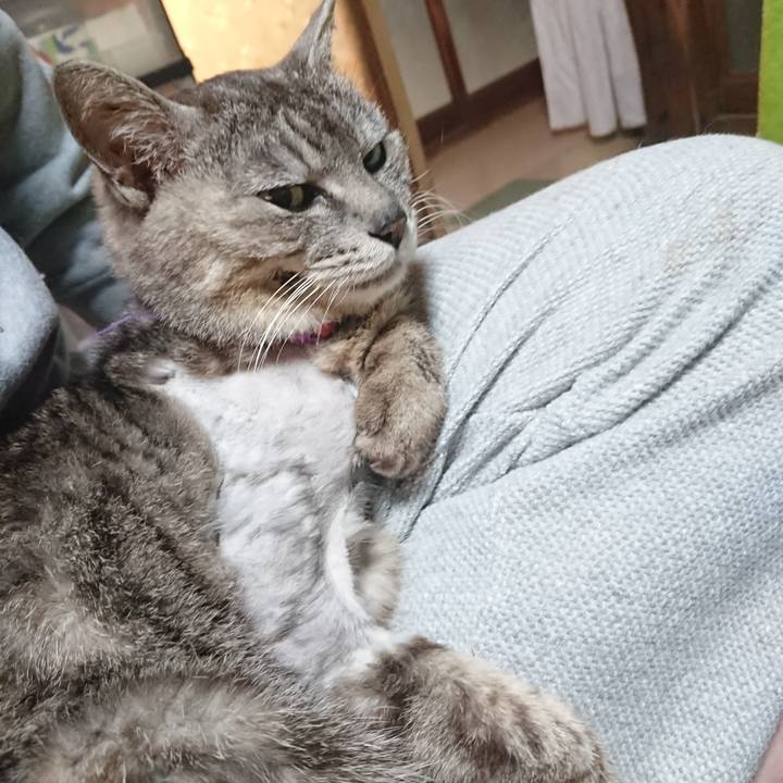 4329fbfb 281b 494b b846 805fad271a1e 1590782652201