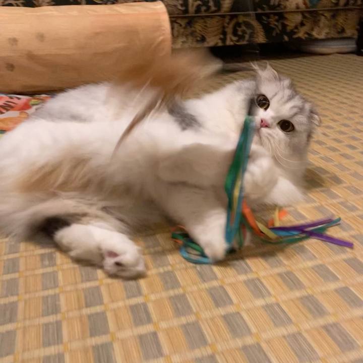 432a773f 2091 4b3a b979 d01680037108 1665788139673