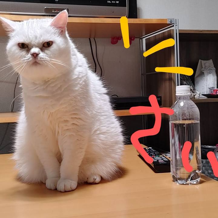 432a942f 90b2 4359 be86 2c265a344bf4 1718118176842