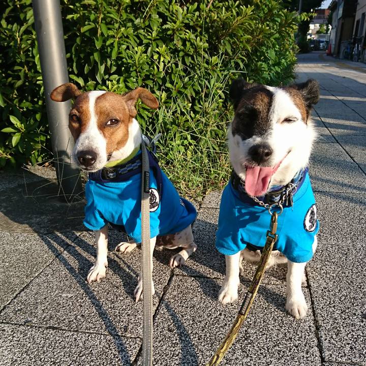 432aa58a a6e8 46d3 b78e 9f838e059d2d 1598650795416