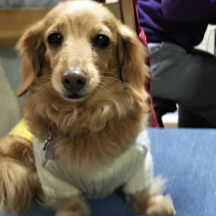 432aa91c 4073 4320 8d73 09c64f7a75a2 1610882975466