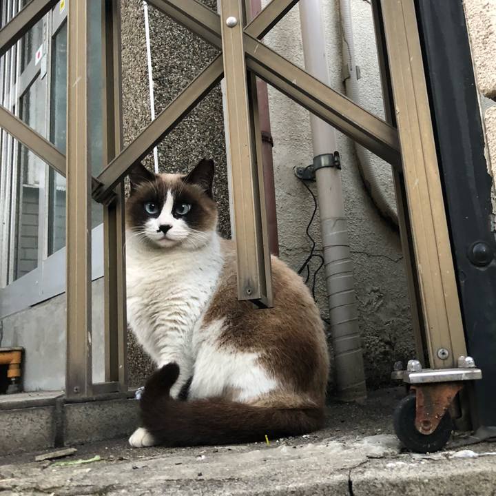 432ac41c 25e7 4350 80a6 be4ca46502f0 1643872222087