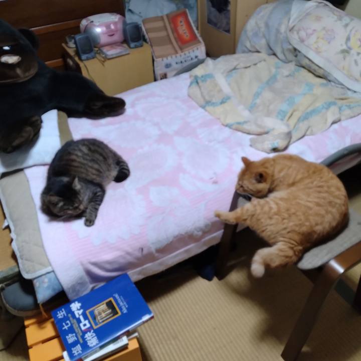 432aced7 ce03 45cf a2df 86110e6e4218 1689856348442