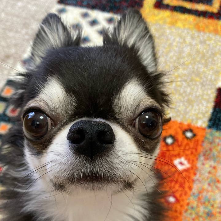 432ad4bf 818e 4ddb bdc8 04d88606bddc 1688163926745