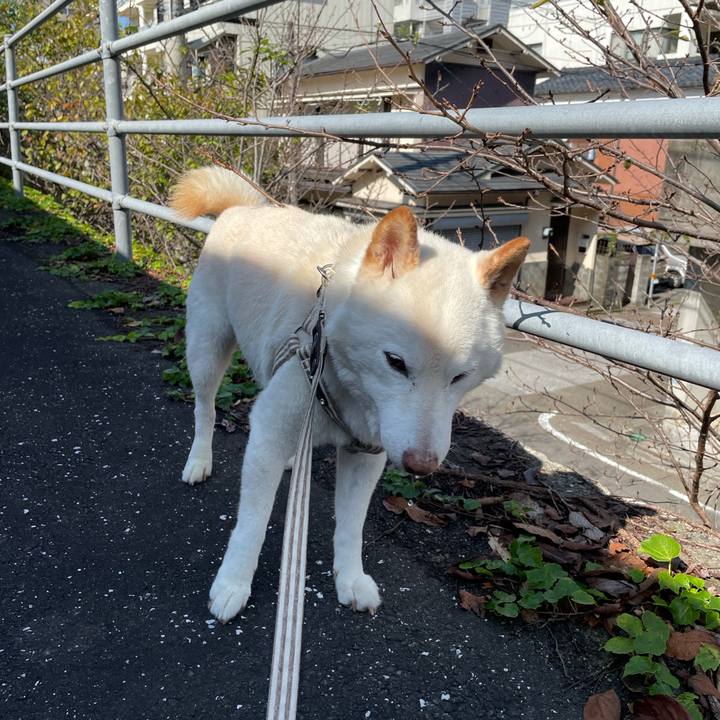 432b0adb fd5d 4f40 86f5 8fae2695e449 1634181023435