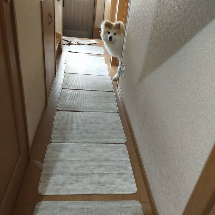 432b51fa abab 494e 8749 dfd60117c9b5 1659705656608