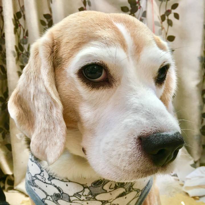 432b6fdc 3f31 4030 ba2b a5e5f6135657 1761536927087