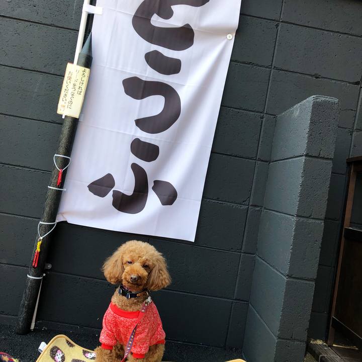 432b7fd4 56f4 4745 8aa4 938551fc09bb 1551079396432