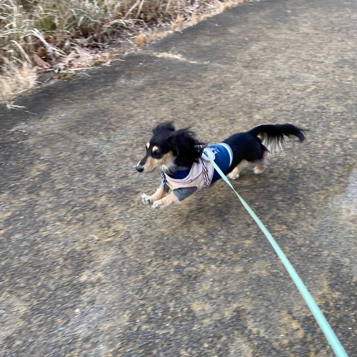 432b8754 df42 404f b8cd f69cb5698505 1737617281745