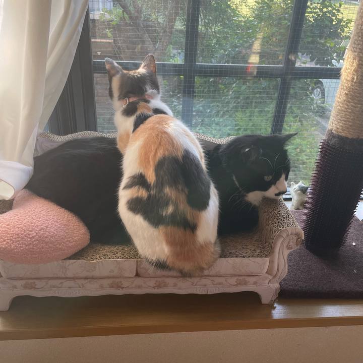 432bd578 1a0c 4c11 8e23 d81431274d0b 1697148861488